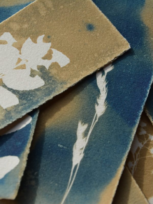 Wet Cyanotypes - Lesezeichen